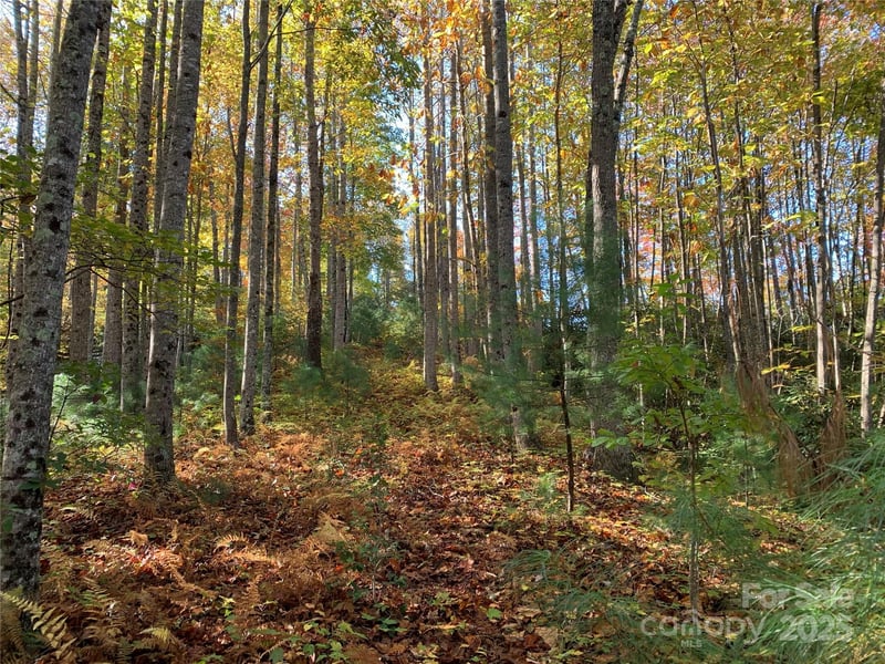Lot# 556 Timber Rock Drive Apt 556, Lenoir, NC -  - $84,900