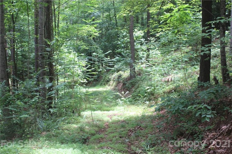 2202 Island View Lane NE Apt 5, Connelly Springs, NC -  - $35,000