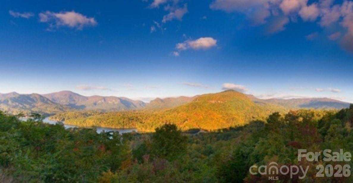 31 High Rock Ridge Apt 31, Lake Lure, NC 28746. property listing photo