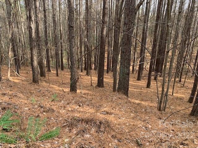 0 Chasewood Drive Apt 16, Rutherfordton, NC -  - $19,900