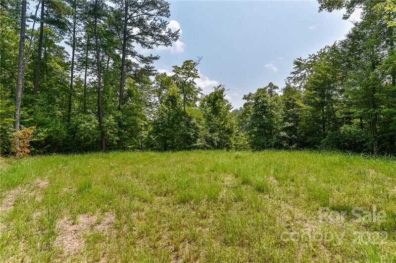 Lot 4 The Vines Boulevard Lot 4, Marshall, NC -  - $25,000