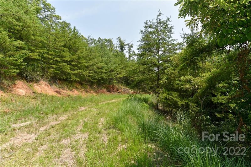 Lot 9 The Vines Boulevard Lot 9, Marshall, NC -  - $25,000