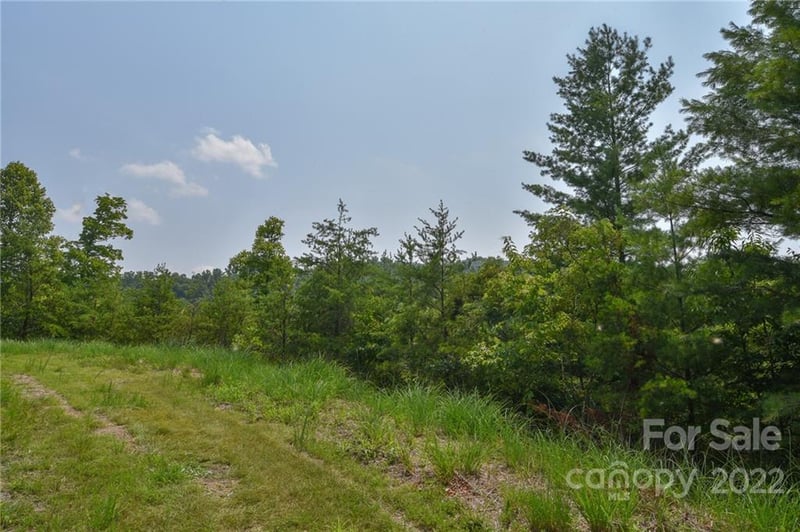Lot 11 The Vines Boulevard Lot 11, Marshall, NC -  - $27,500