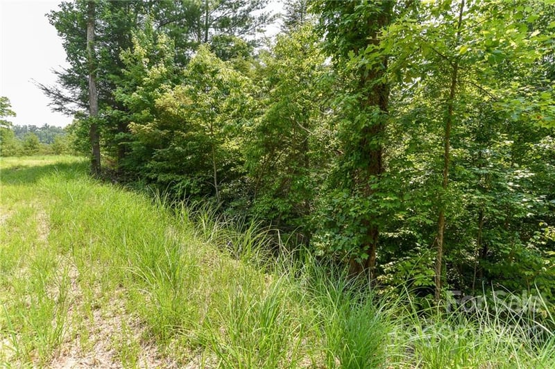 Lot 12 The Vines Boulevard Lot 12, Marshall, NC -  - $27,500
