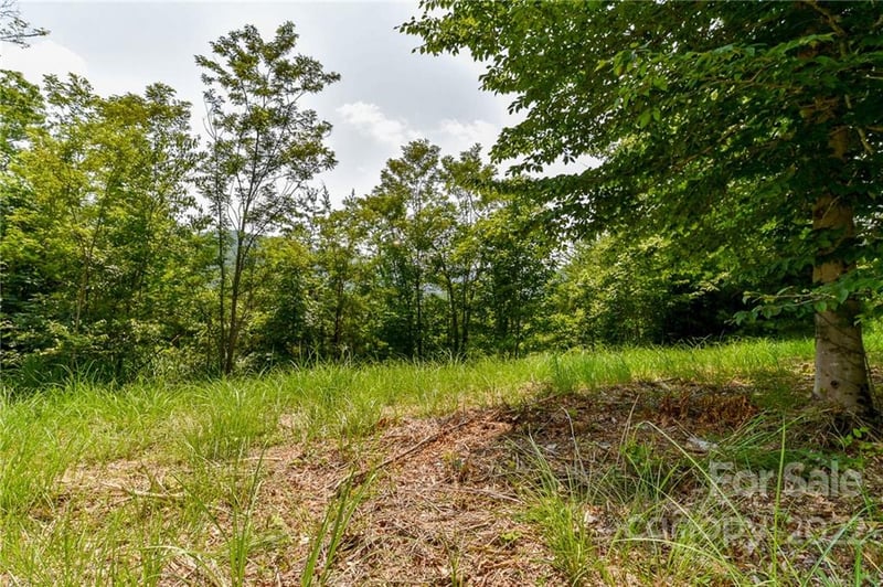 319 The Vines Boulevard Apt 21, Marshall, NC -  - $27,500