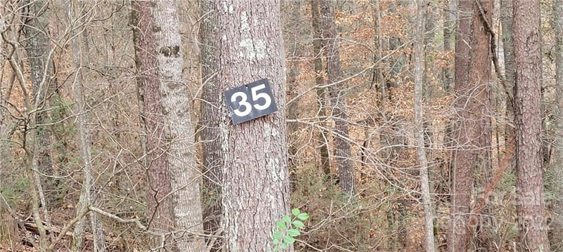 35 Settlers Trail Apt 35, Mars Hill, NC -  - $50,000