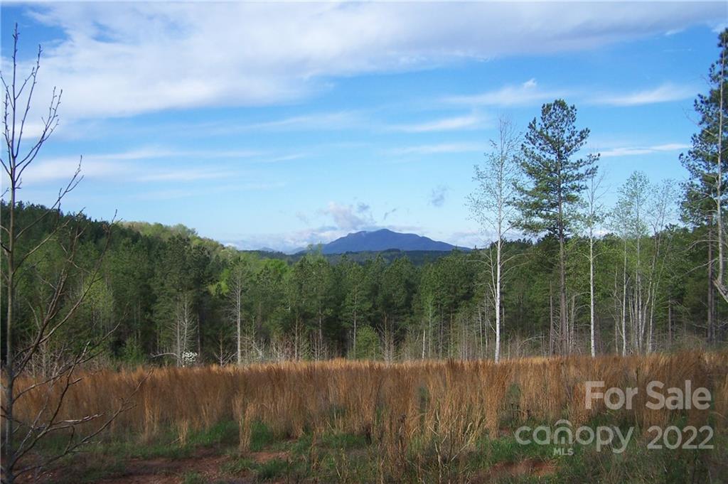 Tract 3 County Line Rd, Mill Spring, NC 28756. property listing photo