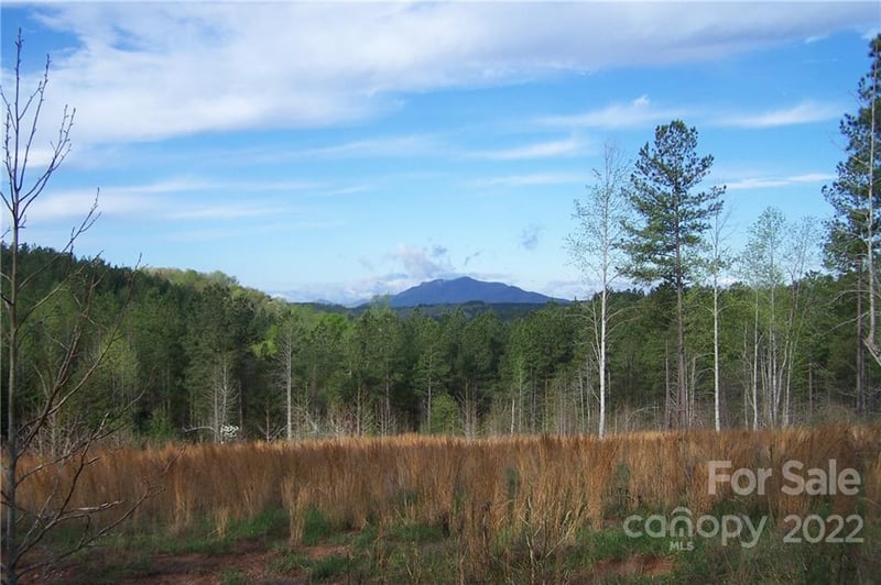 Tract 3 County Line Road, Mill Spring, NC -  - $240,000