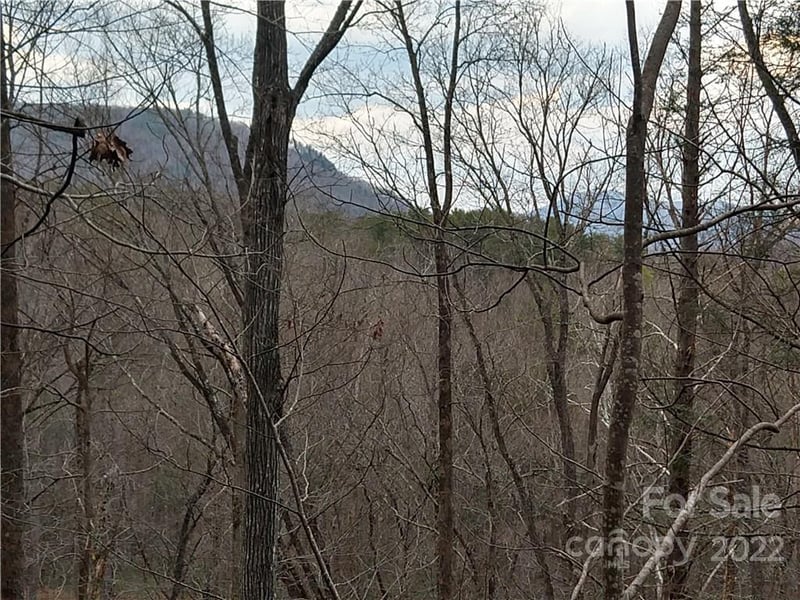 Lots 94 & 95 Rock Spring Road, Lake Lure, NC -  - $39,900