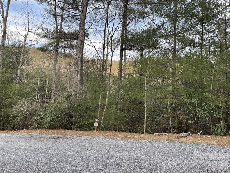 55 Boone Cove Road Apt 71, Zirconia, NC -  - $25,000