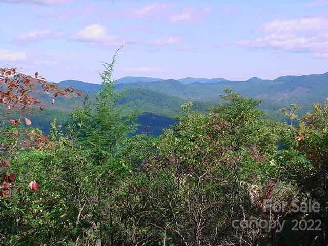 Lot 361 Hickory Nut Lane, Lake Lure, NC -  - $39,900
