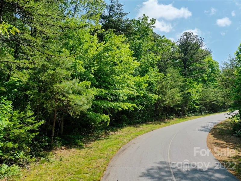 LOT 295 Eastman Place, Mill Spring, NC -  - $200,000