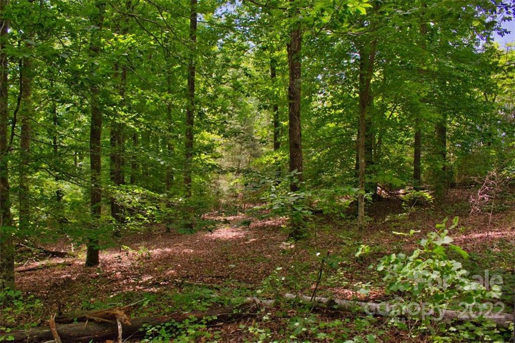 0 Midnight Pass Apt 337, Rutherfordton, NC. property listing photo