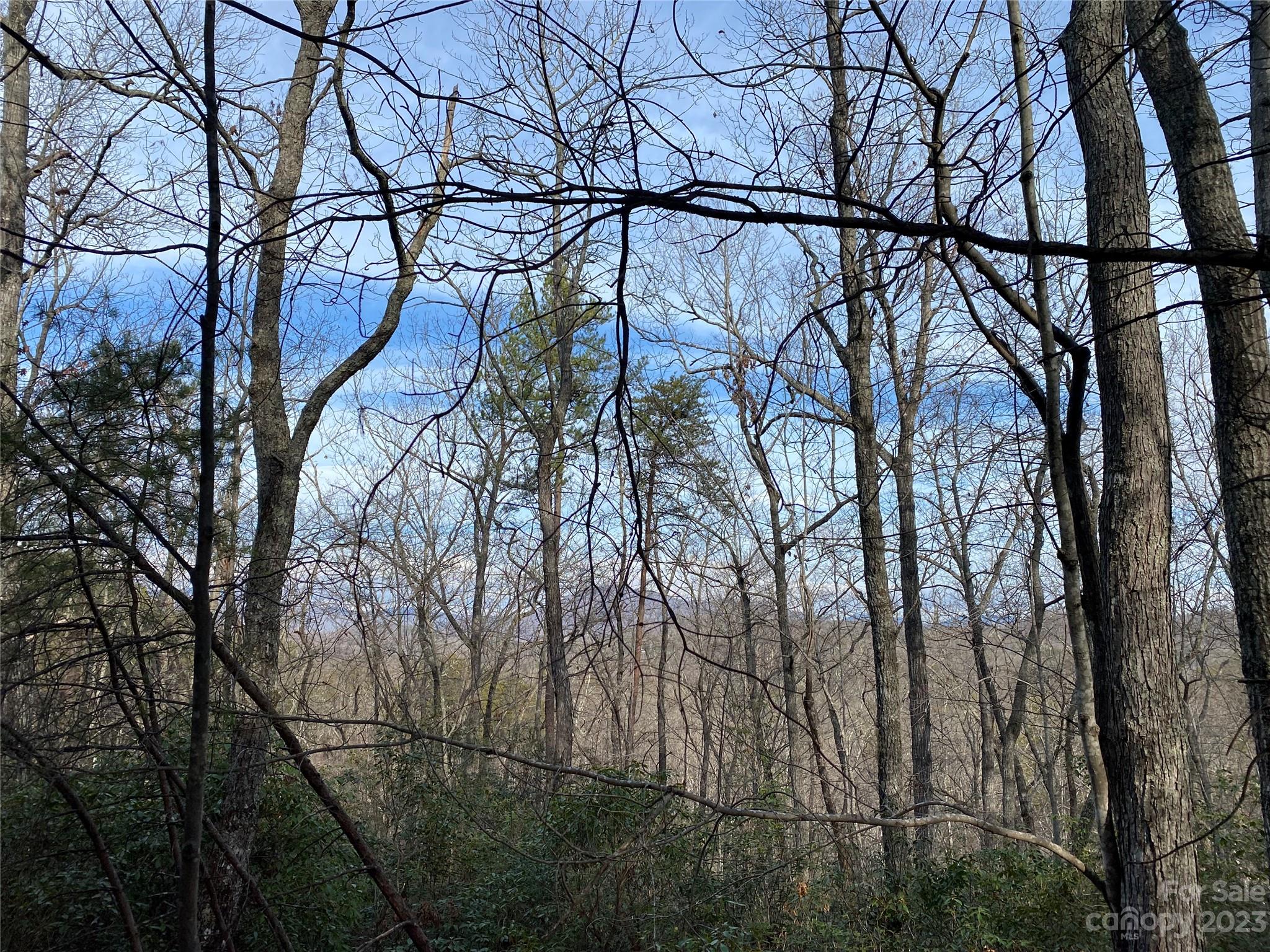 0 Birddog Blvd, Lake Lure, NC 28746. property listing photo