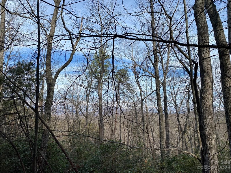 0 Birddog Boulevard, Lake Lure, NC -  - $120,000