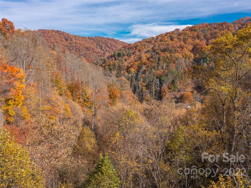 000 Drake Cove Road, Mars Hill, NC. property listing photo