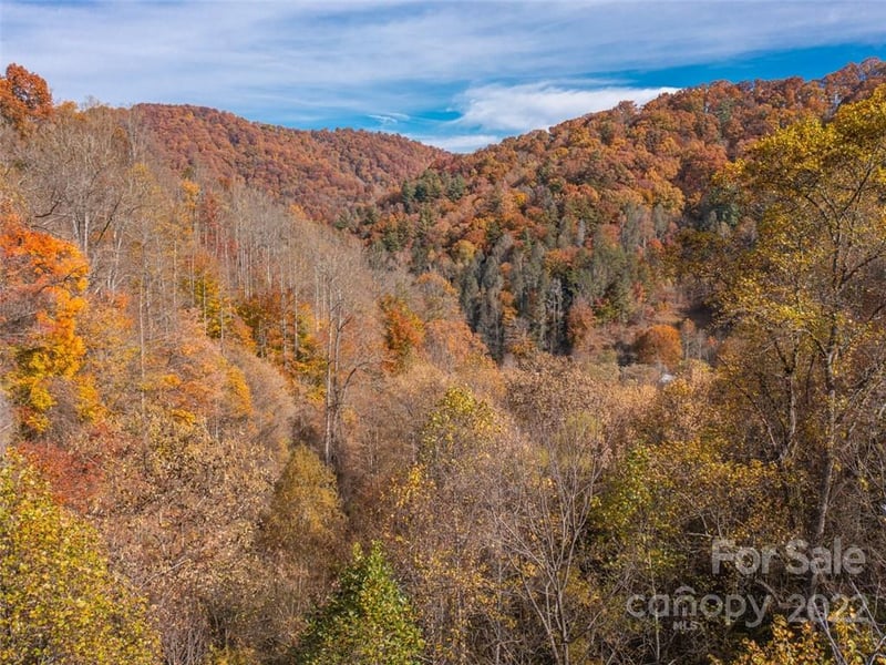 000 Drake Cove Road, Mars Hill, NC -  - $55,000