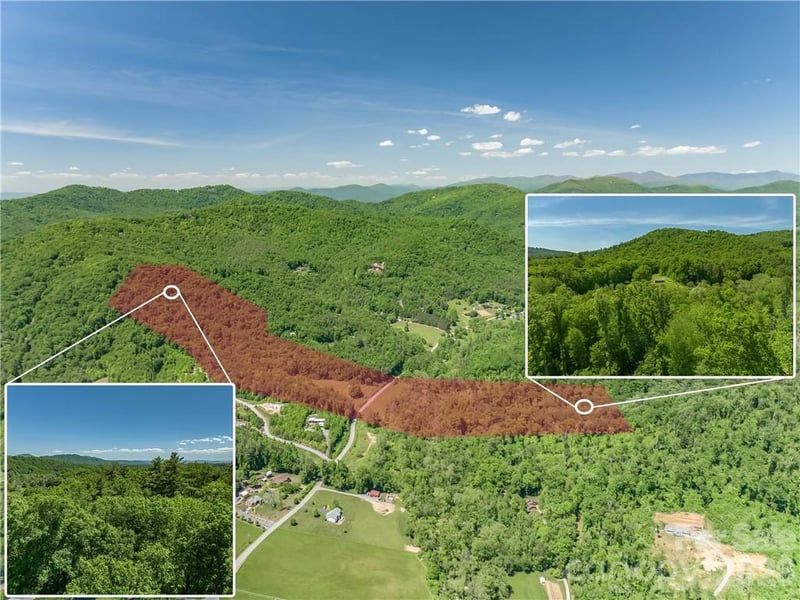99999 Merrills Cove Road 1 & 3, Asheville, NC - 3 beds, 1 bath - $1,549,000