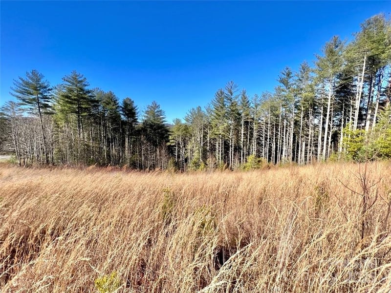 1.85 acres Lot 154 Rocky Falls Lane Apt 154, Lenoir, NC -  - $98,900