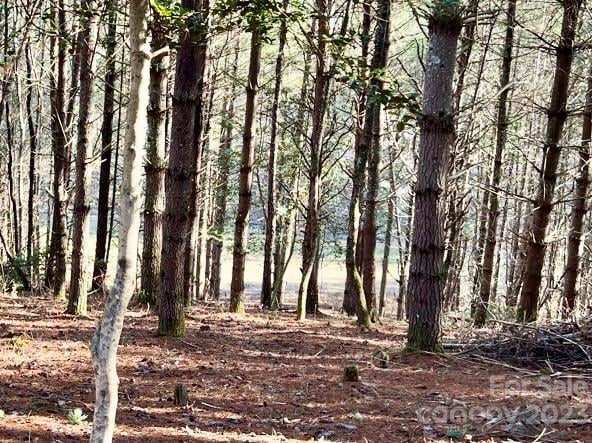2.29 acres Lot 94 Crescent Ridge Drive Apt 94, Lenoir, NC -  - $79,900