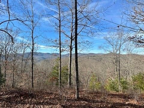 305 Raccoon Run Apt 25, Marshall, NC -  - $199,000