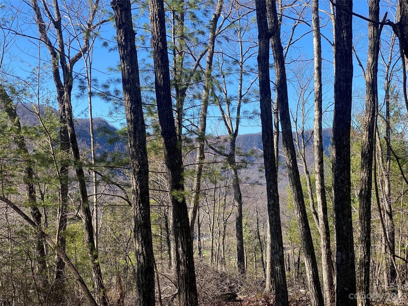 Lot 49 Sunrise Path, Marion, NC -  - $40,000