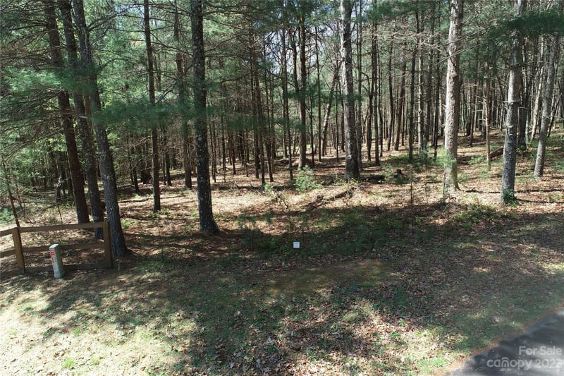 1301 Scenic Vista Drive, Nebo, NC -  - $29,900