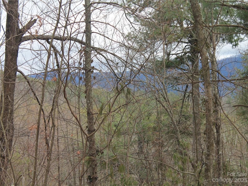 0000 Wildlife Trail .84 ACRES, Hendersonville, NC -  - $52,500