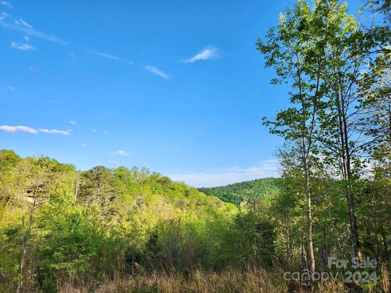 391 Red Fox Trail Apt 16, Marshall, NC -  - $139,000