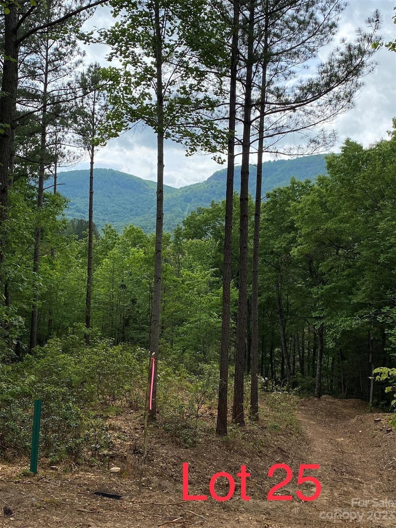 LOT 25 Monteith Place, Mill Spring, NC -  - $225,000