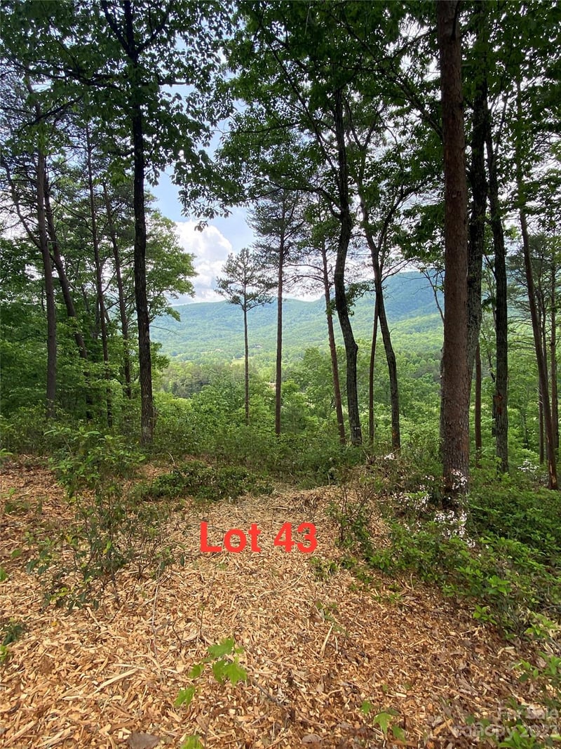 LOT 43 Deep Gap Farm Road E, Mill Spring, NC -  - $275,000