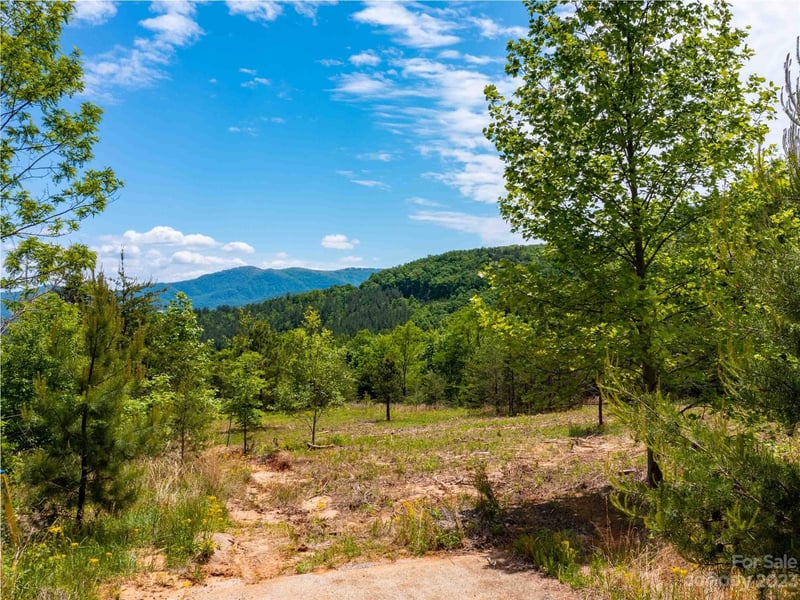 LOT 185 Harris Court, Mill Spring, NC -  - $195,000