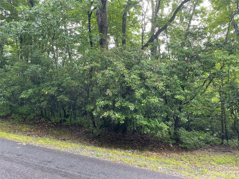TBD Tellico Trail 116/01, Brevard, NC -  - $25,000