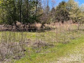 0000 Elliot Lane #45 & 48, Rutherfordton, NC. property listing photo