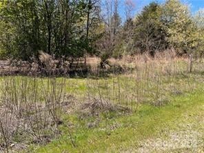 0000 Elliot Lane #45 & 48, Rutherfordton, NC -  - $115,000