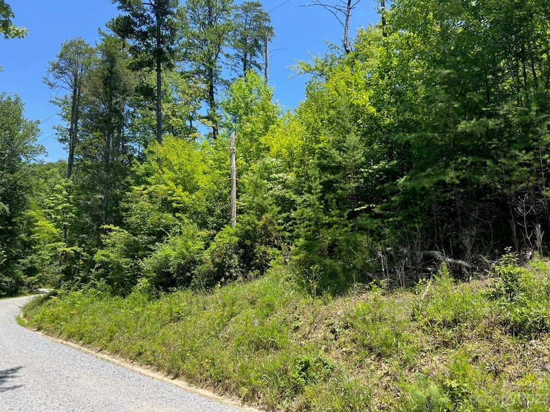 lot 24 Round Mountain Road Apt 24, Brevard, NC -  - $29,990