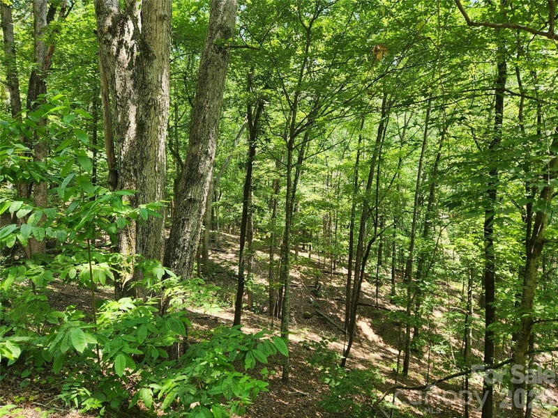 Lot 81, 82, & 88 Walnut Lane, Lake Lure, NC -  - $25,000