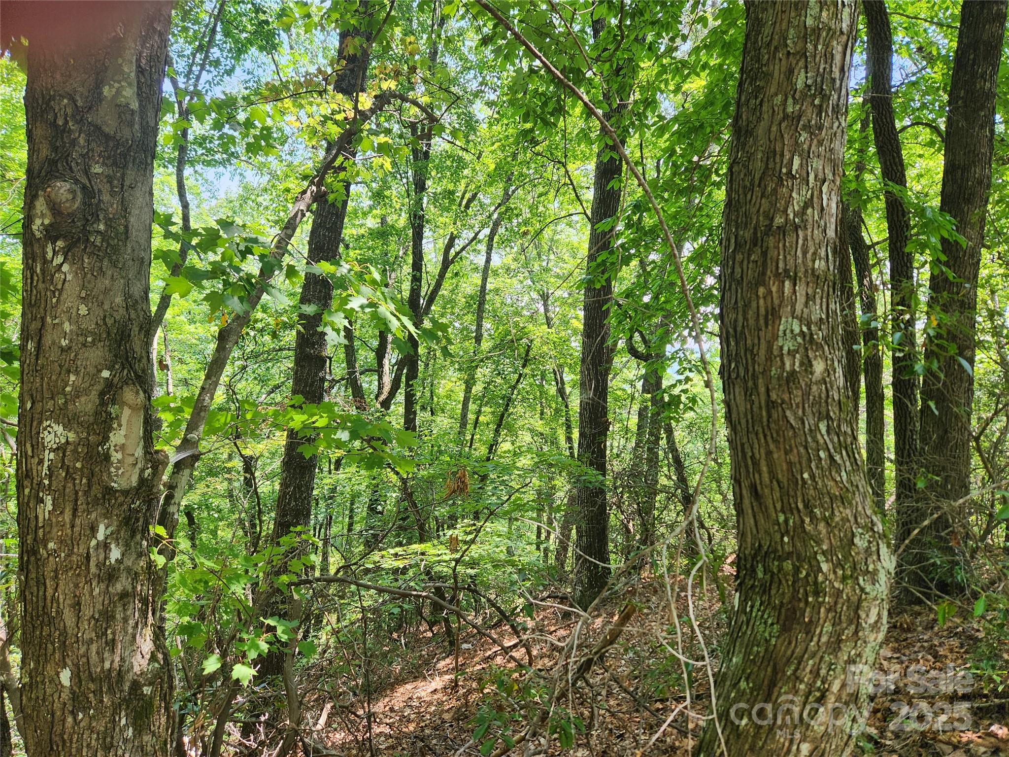 Lot 117, 118, & 132 Summit Court, Lake Lure, NC. property listing photo