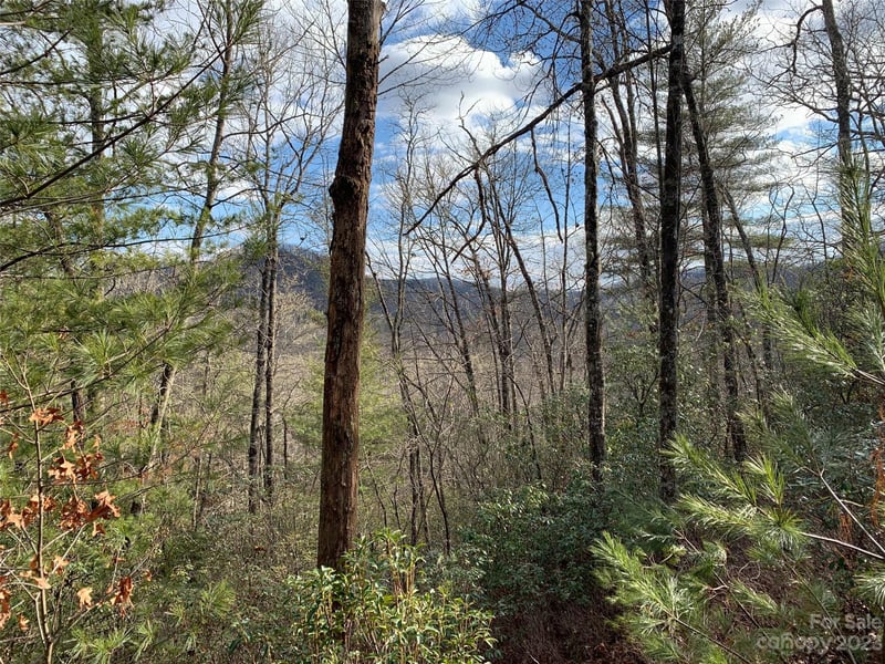 91 Laurel Thicket Lane, Brevard, NC -  - $41,000