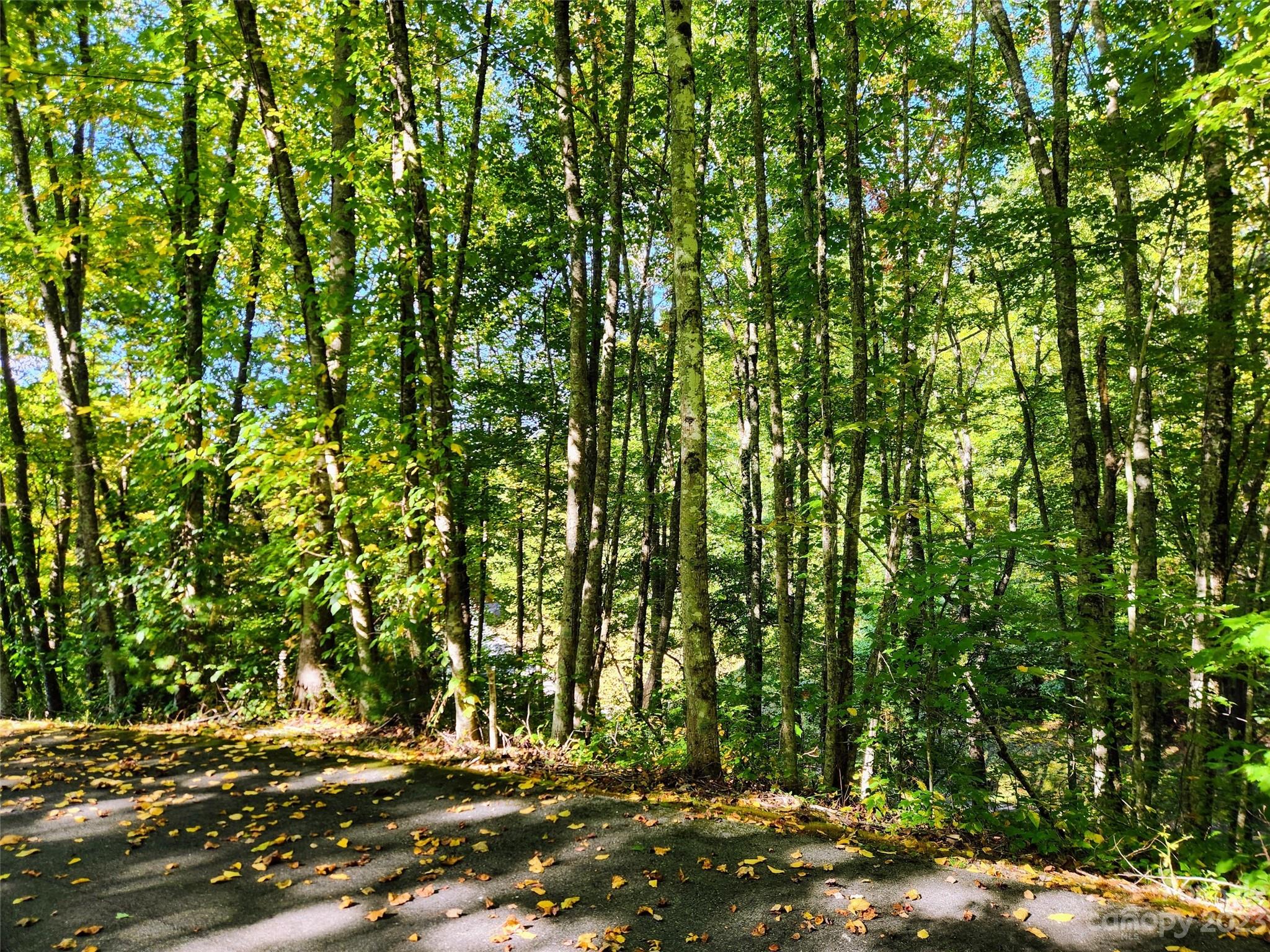 00 Loblolly Way C7, Maggie Valley, NC. property listing photo