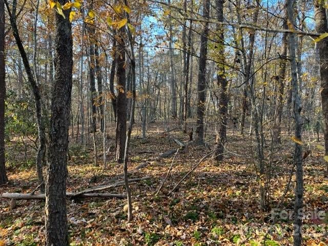 TBD Shady Lane, Mill Spring, NC -  - $1,350,000