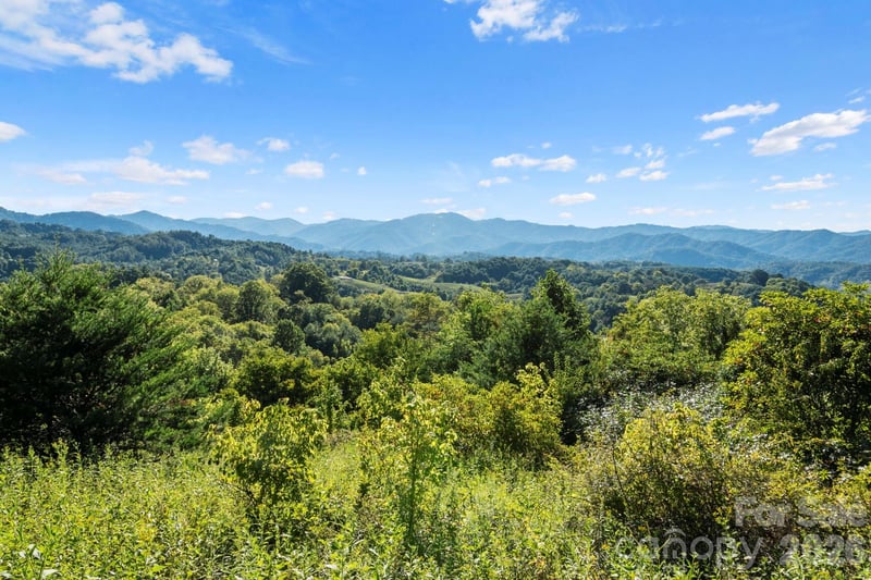 1231 Baileys Branch Road Apt 3, Marshall, NC -  - $375,000