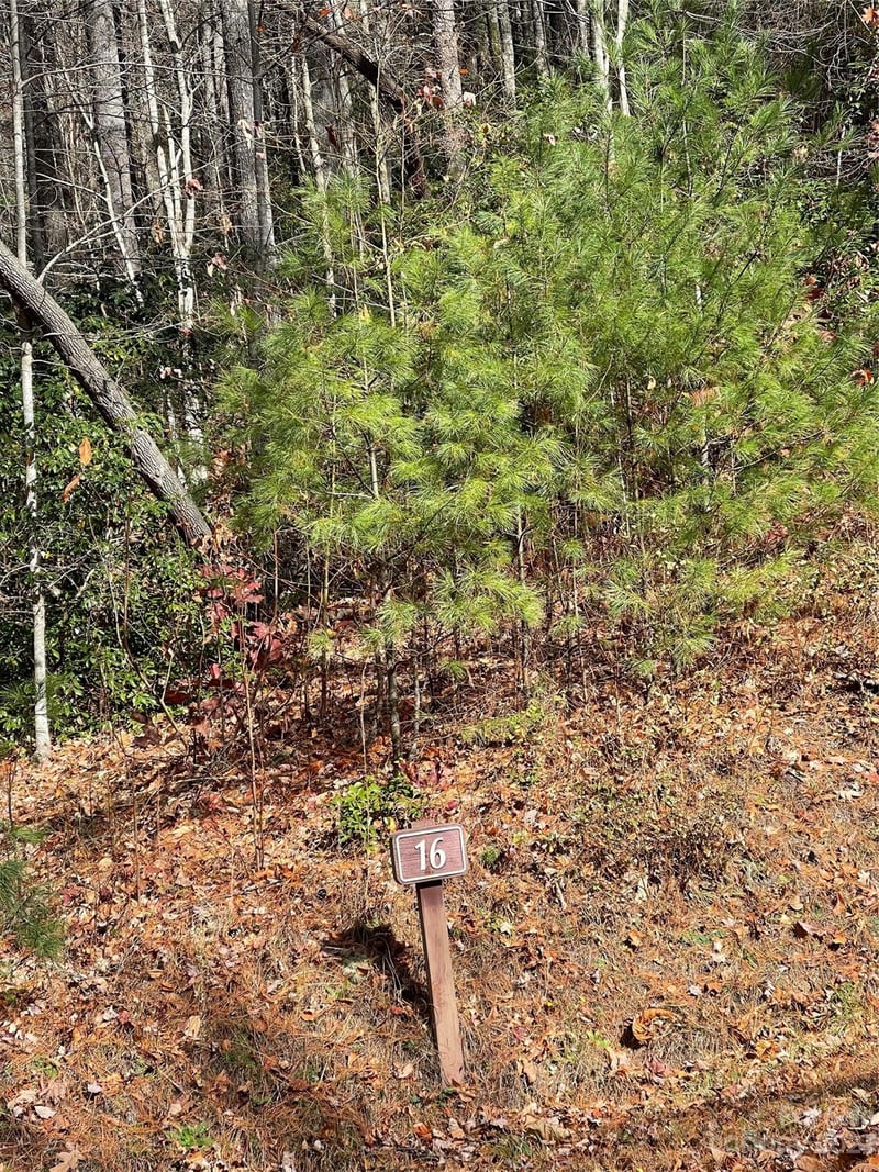 0000 Juniper Berry Lane, Zirconia, NC -  - $55,000
