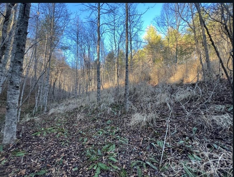 000 Grapevine Road, Marshall, NC -  - $80,000