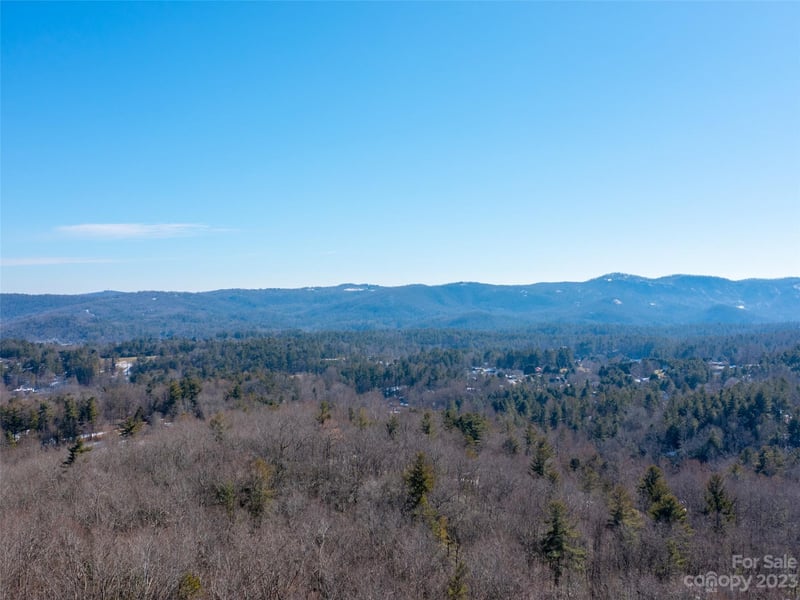 102 Bollers Knob Lane Apt 91, Hendersonville, NC -  - $49,000