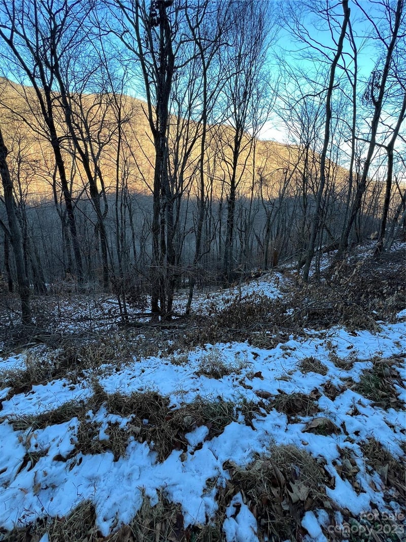 000 Puncheon Lane Apt 170, Mars Hill, NC -  - $15,000