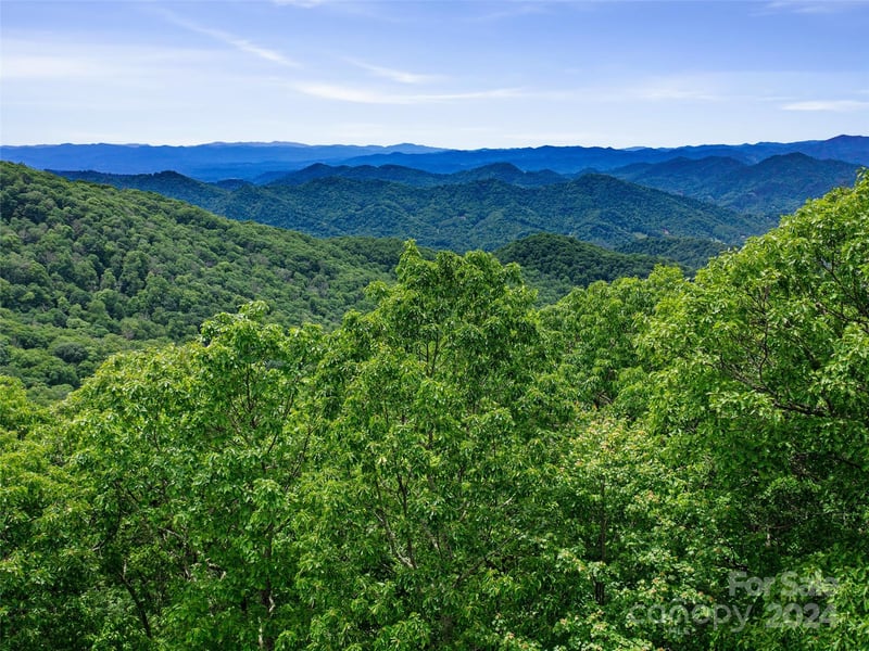 Lot 17 Old Growth Forest Road, Burnsville, NC -  - $160,000