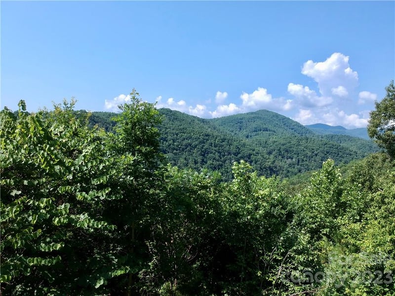 677 White Water Way Apt 30, Marshall, NC -  - $75,000