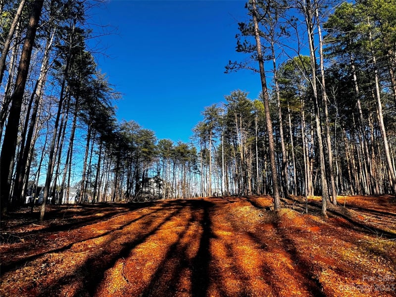 109 Hunt Camp Trail Apt 19, Davidson, NC -  - $325,000