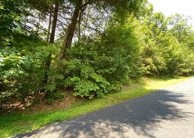 68 Stepp Ridge Court, Hendersonville, NC -  - $35,000